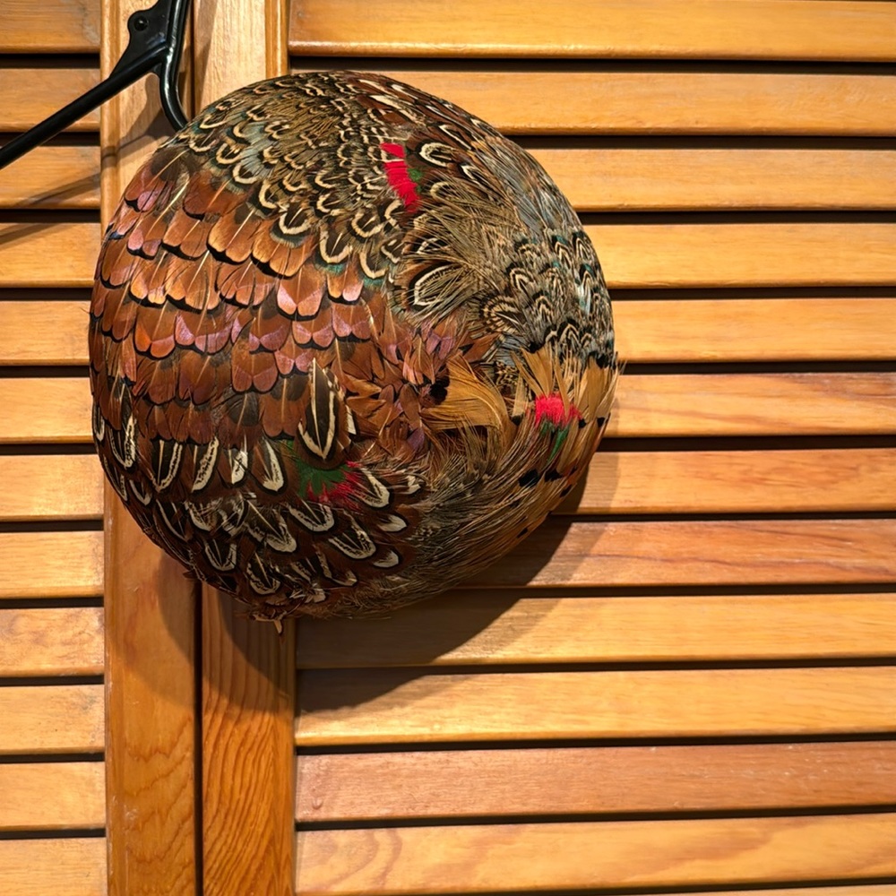 Feathered hat 1950s vintage pheasant